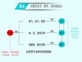 人教版九年级化学课件3.3元素公开课 (共13张PPT)