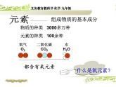 人教版九年级化学上册3.3 元素课件31张(共31张PPT)