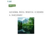 人教版九年级化学上册课件4.3 水的组成
