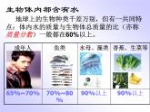 人教版九年级化学上册4.3水的组成  课件