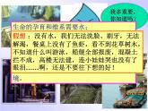 人教版九年级化学上册4.3水的组成  课件
