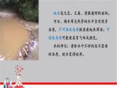 人教版九年级上册化学  4.3水的组成 课件