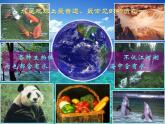 人教版九年级上册化学  4.3 水的组成 课件