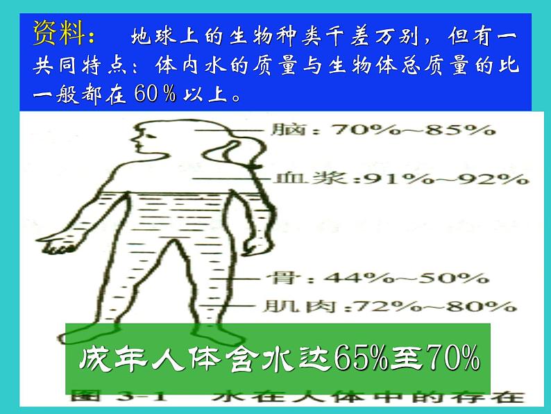 人教版九年级上册化学  4.3 水的组成 课件03