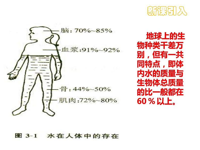 九年级人教版化学上册课件：4.3 水的组成(共25张PPT)04