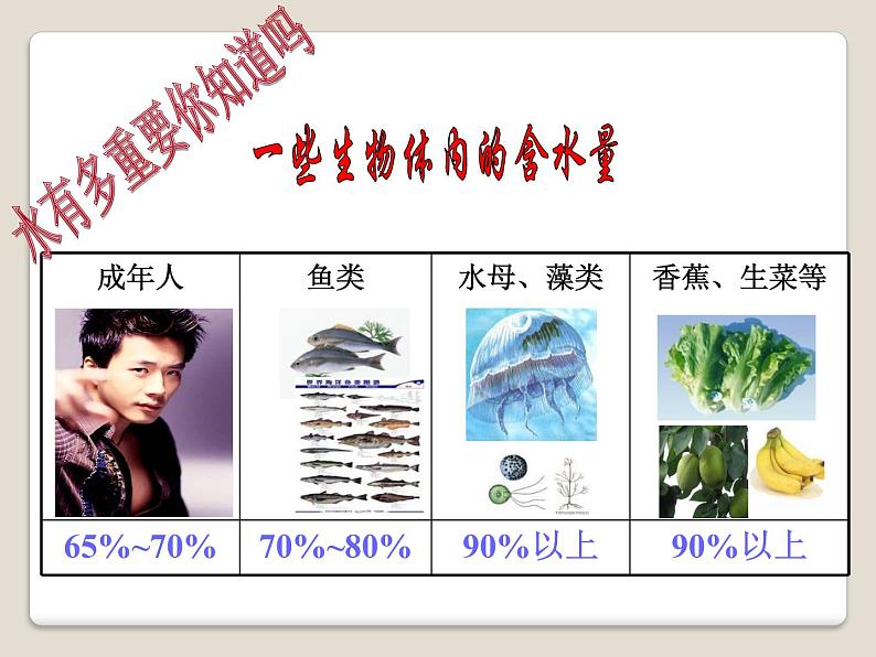 人教版化学九年级上册第四单元 课题3  水的组成-课件02