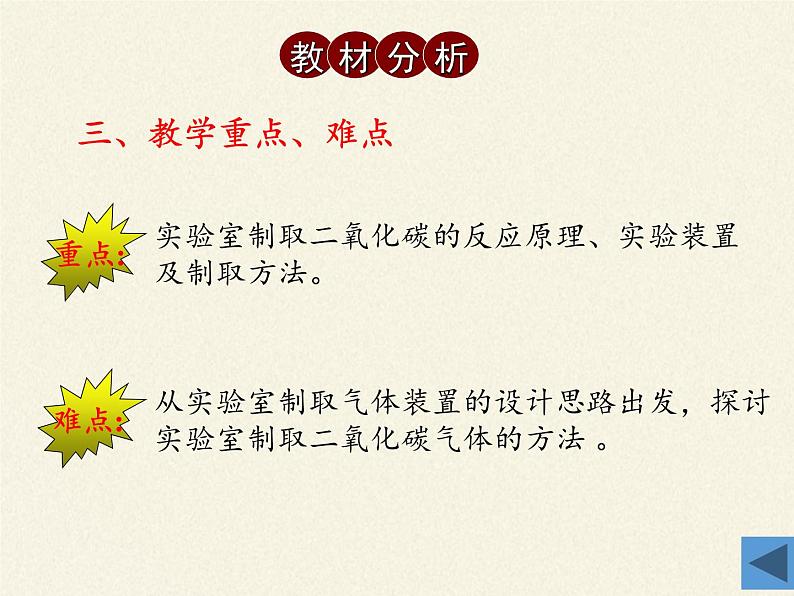 人教版九年级上册 化学 课件 实验活动2　二氧化碳的实验室制取与性质05