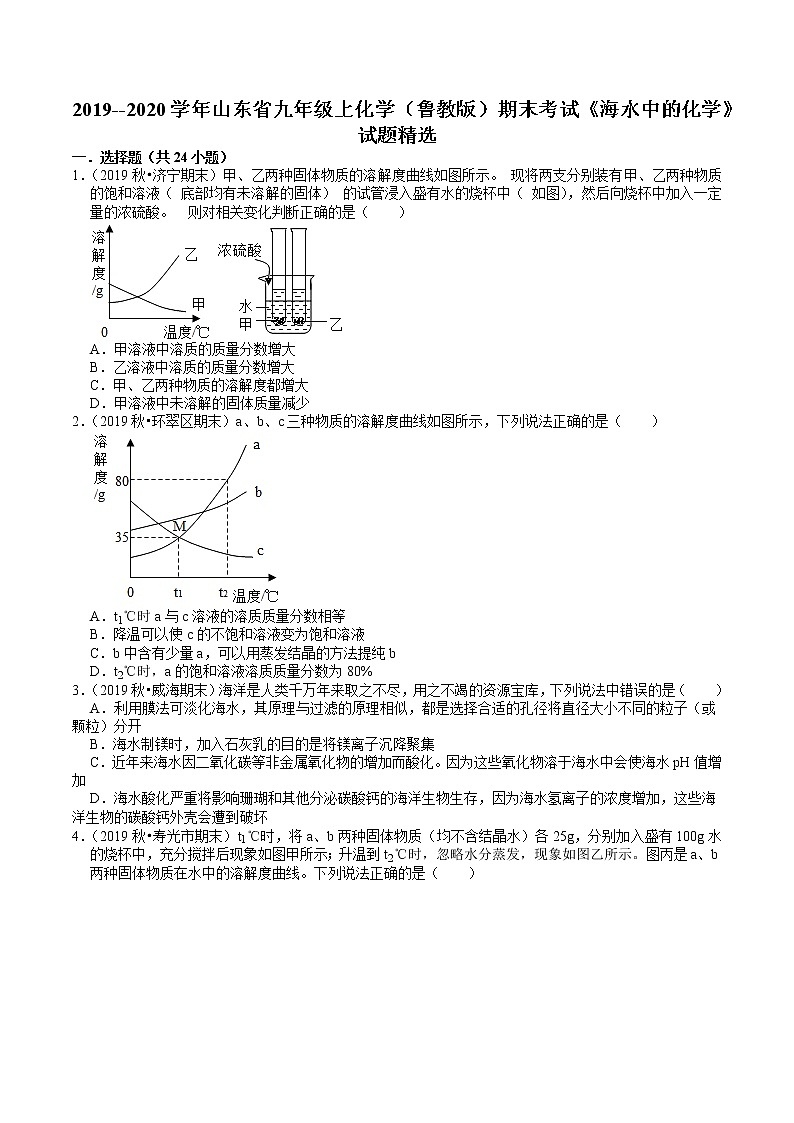 2019--2020学年九年级上化学（鲁教版）期末考试《海水中的化学》试题精选01
