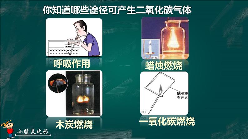 二氧化碳的制取 课件第3页