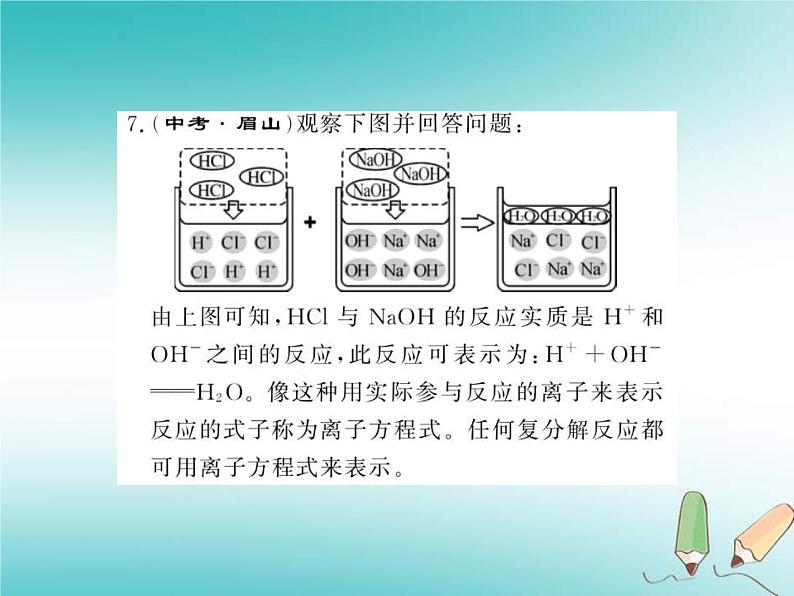 2020年沪教版九年级化学全册专题7复分解反应及其应用 习题课件08