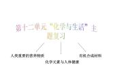 人教版初中化学九下复习：第十二单元  化学与生活 教案