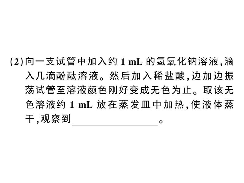 2020春安徽人教版九年级化学下册习题课件：7.实验活动6 酸、碱的化学性质 (共26张PPT)06