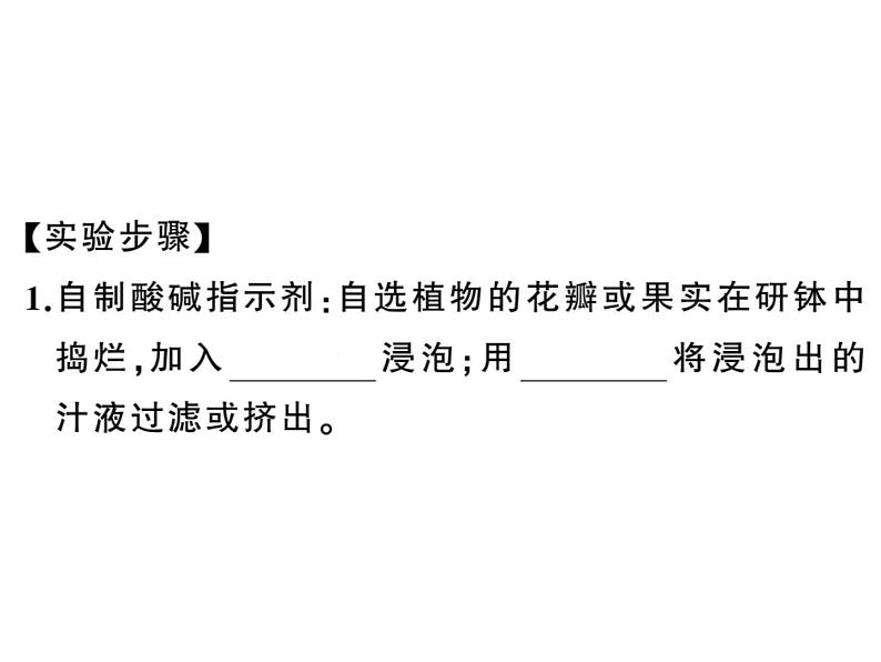 2020春河南人教版九年级化学下册习题课件：5.实验活动７ 溶液酸碱性的检验 (共25张PPT)03