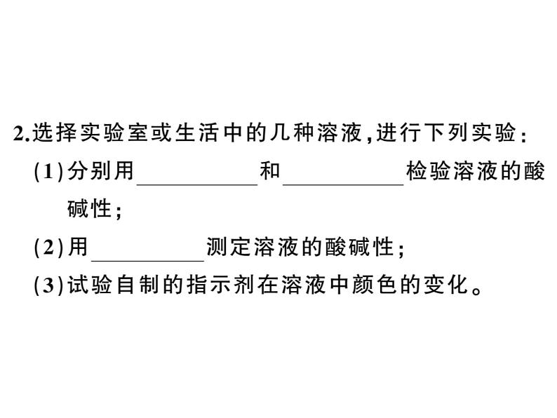 2020春河南人教版九年级化学下册习题课件：5.实验活动７ 溶液酸碱性的检验 (共25张PPT)04