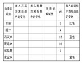 2020春安徽专版人教版九年级下册化学习题课件：实验活动7 溶液酸碱性的检验(共25张PPT)