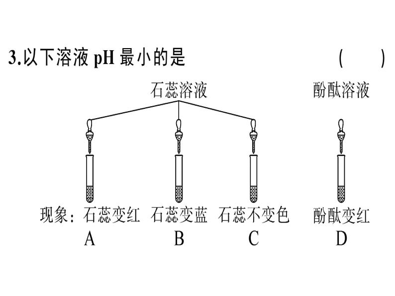 2020春安徽专版人教版九年级下册化学习题课件：实验活动7 溶液酸碱性的检验(共25张PPT)08