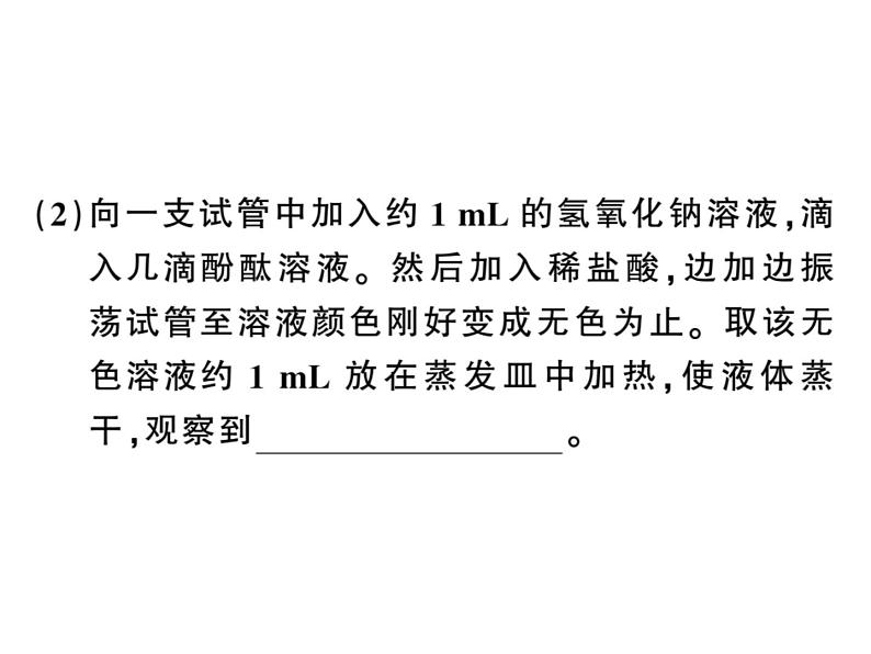 2020春河南人教版九年级化学下册习题课件：4.实验活动６ 酸、 碱的化学性质 (共27张PPT)07