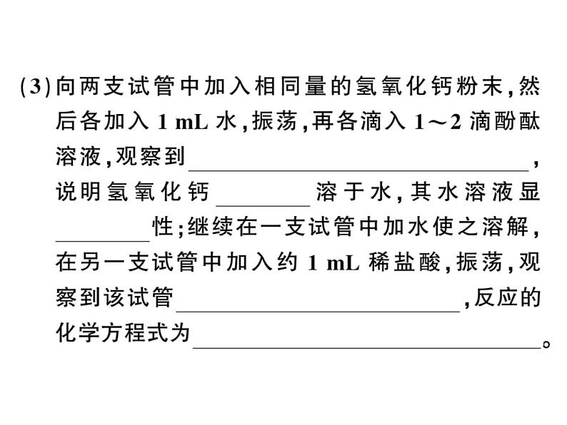 2020春河南人教版九年级化学下册习题课件：4.实验活动６ 酸、 碱的化学性质 (共27张PPT)08