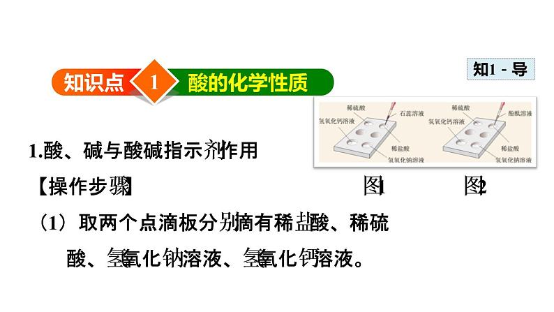 2020春人教版九年级下册化学（安徽专版）课件：实验活动6 酸、碱的化学性质(共35张PPT)04