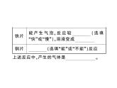2020春江西人教版九年级化学习题课件：11.实验活动4  金属的物理性质和某些化学性质 (共26张PPT)