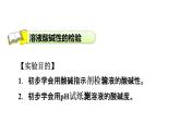 2020春人教版九年级下册化学（安徽专版）课件：实验活动7 溶液酸碱性的检验(共26张PPT)