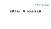 化学九年级下册实验活动6 酸、碱的化学性质习题ppt课件