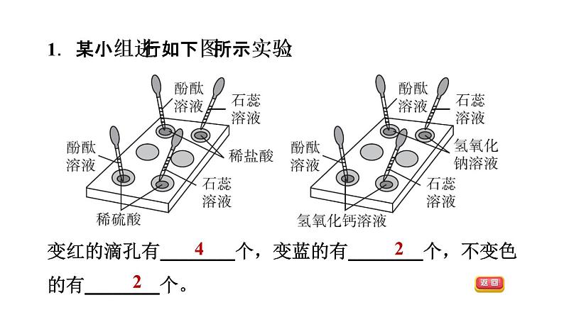 2020春人教版九年级下册化学习题课件：第十单元 实验活动6 酸、碱的化学性质(共25张PPT)04