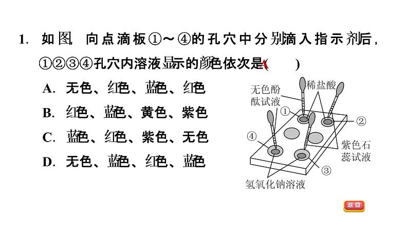 2020春人教版九年级下册化学习题课件：实验活动6 酸、碱的化学性质(共30张PPT)05