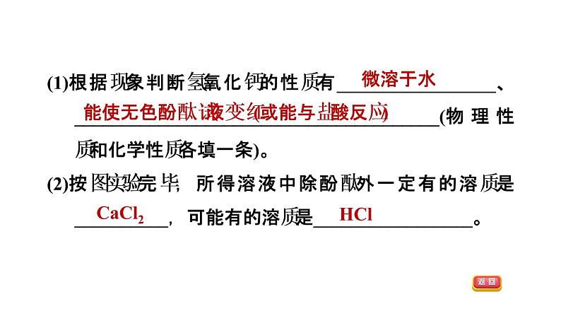 2020春人教版九年级下册化学习题课件：实验活动6 酸、碱的化学性质(共30张PPT)08