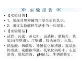 2020年人教版九年级化学下册课件：第10单元实验活动6 (共27张PPT)