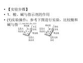 2020年人教版九年级化学下册课件：第10单元实验活动6 (共27张PPT)