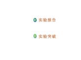 2020年人教版九年级化学下册课件：第11单元实验活动8 (共25张PPT)
