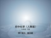 2020人教版九年级化学下册课件：第十单元实验活动7溶液酸碱性的检验(共29张PPT)