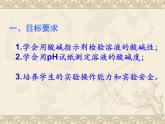 广东省湛江市岭师附中实验学校九年级化学第二学期第十单元实验活动7《溶液酸碱性的检验》课件（共有27张PPT）