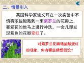 广东省湛江市岭师附中实验学校九年级化学第二学期第十单元实验活动7《溶液酸碱性的检验》课件（共有27张PPT）