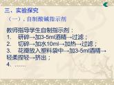 广东省湛江市岭师附中实验学校九年级化学第二学期第十单元实验活动7《溶液酸碱性的检验》课件（共有27张PPT）