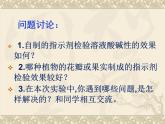 广东省湛江市岭师附中实验学校九年级化学第二学期第十单元实验活动7《溶液酸碱性的检验》课件（共有27张PPT）