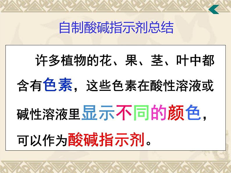 广东省湛江市岭师附中实验学校九年级化学第二学期第十单元实验活动7《溶液酸碱性的检验》课件（共有27张PPT）06