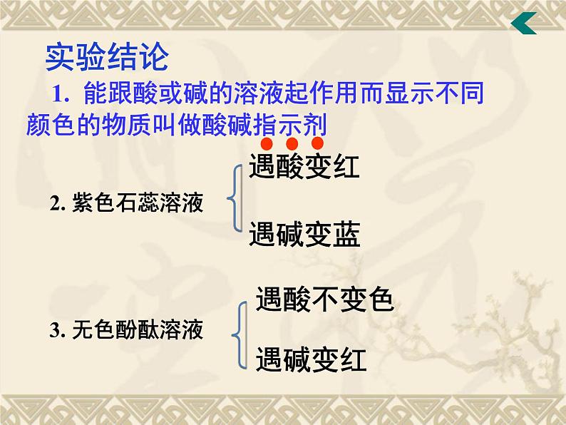 广东省湛江市岭师附中实验学校九年级化学第二学期第十单元实验活动7《溶液酸碱性的检验》课件（共有27张PPT）08