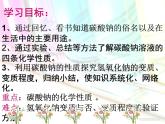 人教版初中化学复习课：奇妙的苏打水——碳酸钠溶液的性质 课件