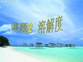 人教版初中化学九下9.2 溶解度 课件 (3)