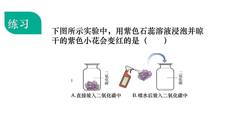 人教版初中化学九下10.1 常见的酸和碱 课件04