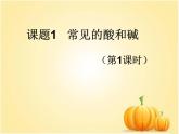 人教版初中化学九下10.1.1  酸、碱指示剂 课件