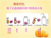 人教版初中化学九下10.1.1  酸、碱指示剂 课件