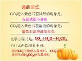 人教版初中化学九下10.1.1  酸、碱指示剂 课件