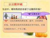 人教版初中化学九下10.1.1  酸、碱指示剂 课件