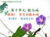人教版初中化学九下10.1.1  酸、碱指示剂 课件  (1)