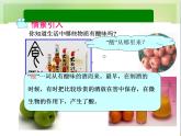 人教版初中化学九下10.1.1  酸、碱指示剂 课件  (1)