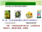 人教版初中化学九下10.1.1  酸、碱指示剂 课件  (1)