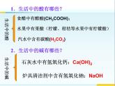 人教版初中化学九下10.1.1  酸、碱指示剂 课件  (1)